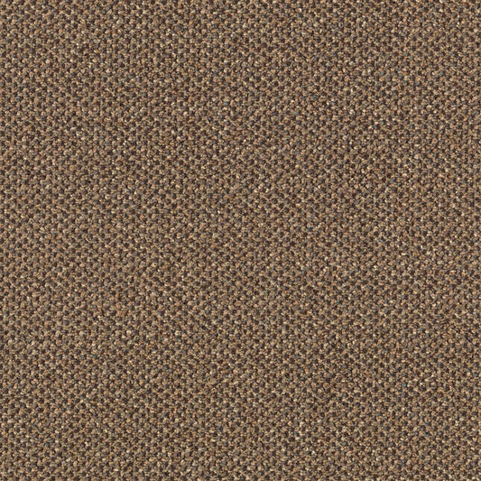 Pure & Simple in Collective Wisdom Carpet