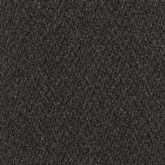 Walk The Walk in Iron Ore Carpet Tile