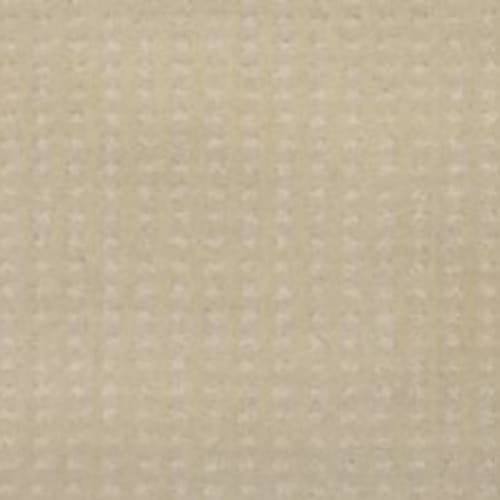 Popular Appearance in Lamb's Wool