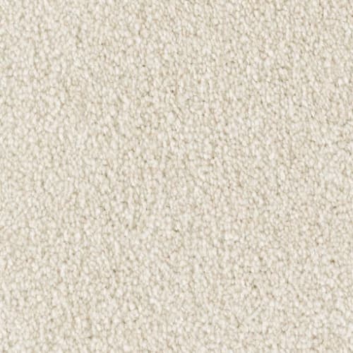 Lavish Statement in Downy Lustre