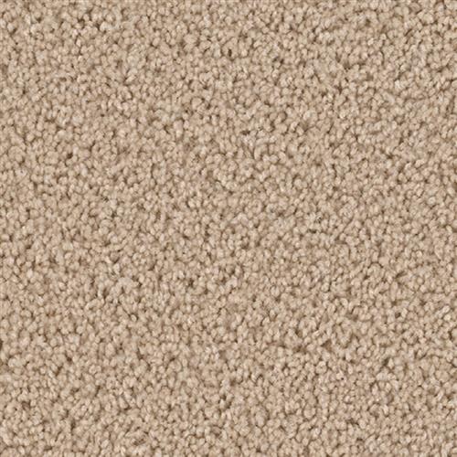 Broadcast in Cookie Dough Carpet