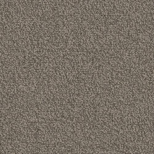 Chivalry 20 in Nobel Carpet