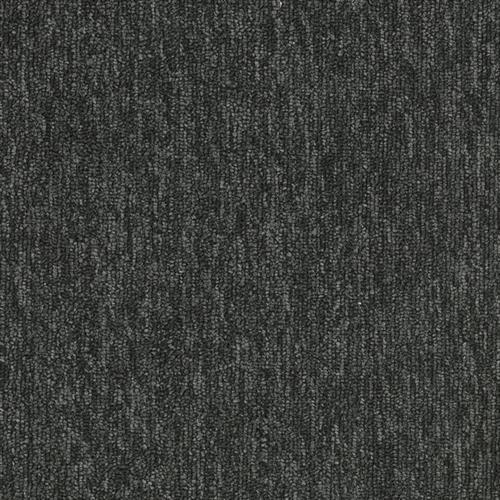 Quicksilver 20 in Carbon Carpet