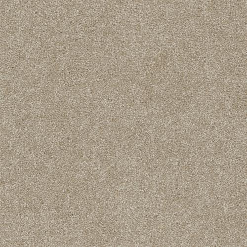 Terrain in Coast Carpet