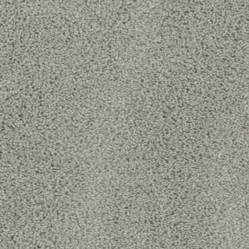 Keystone Plus in Silver Birch