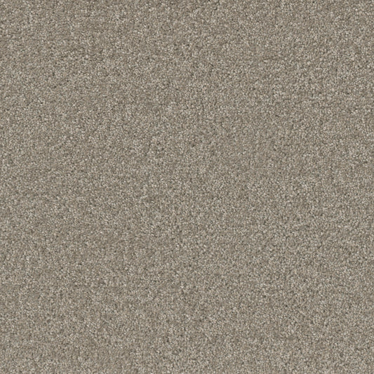 BROADCAST PLUS in Chrome Carpet