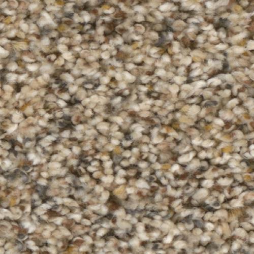 Confetti I in Wayside Carpet