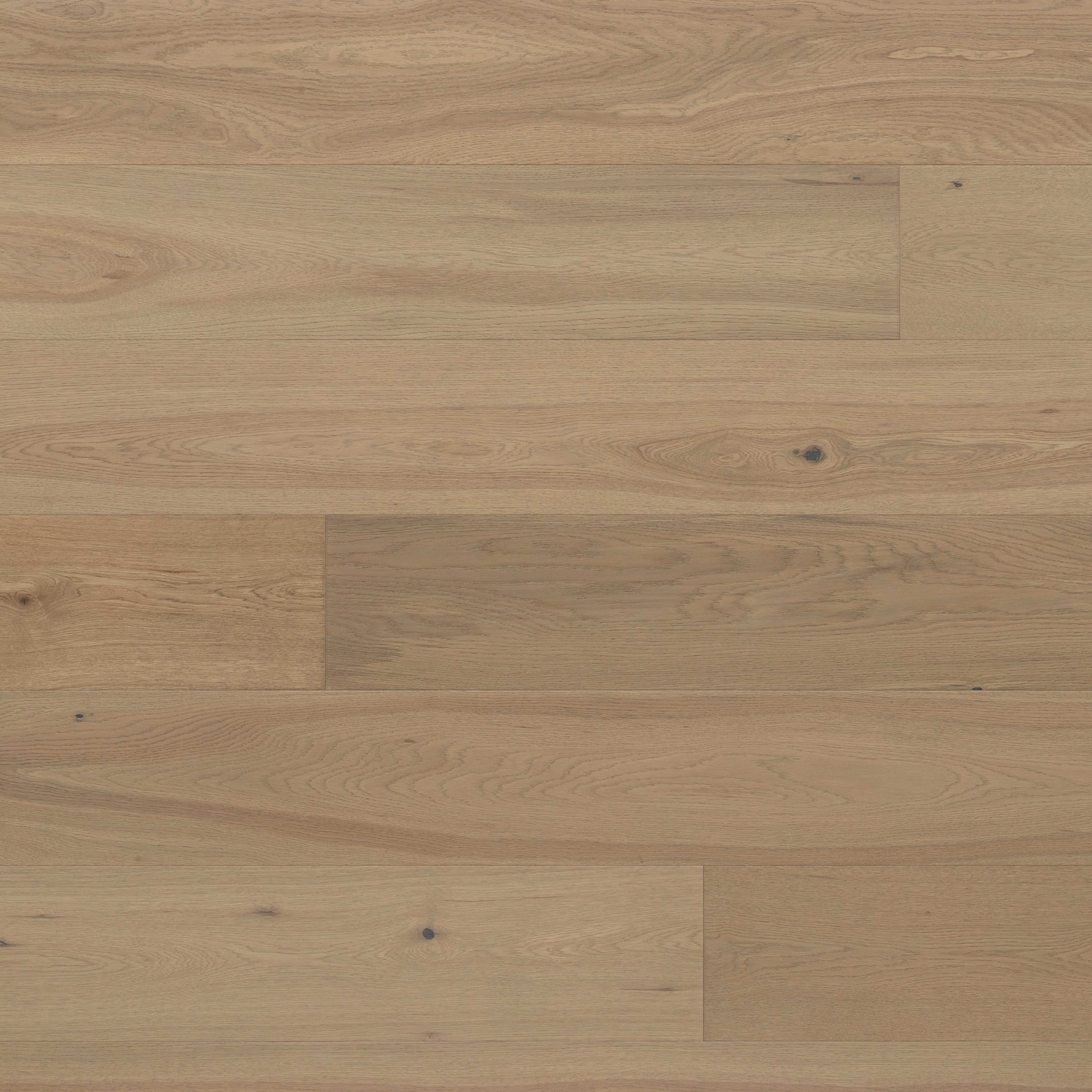 Abode by Kentwood: Tempo in Clove Hardwood