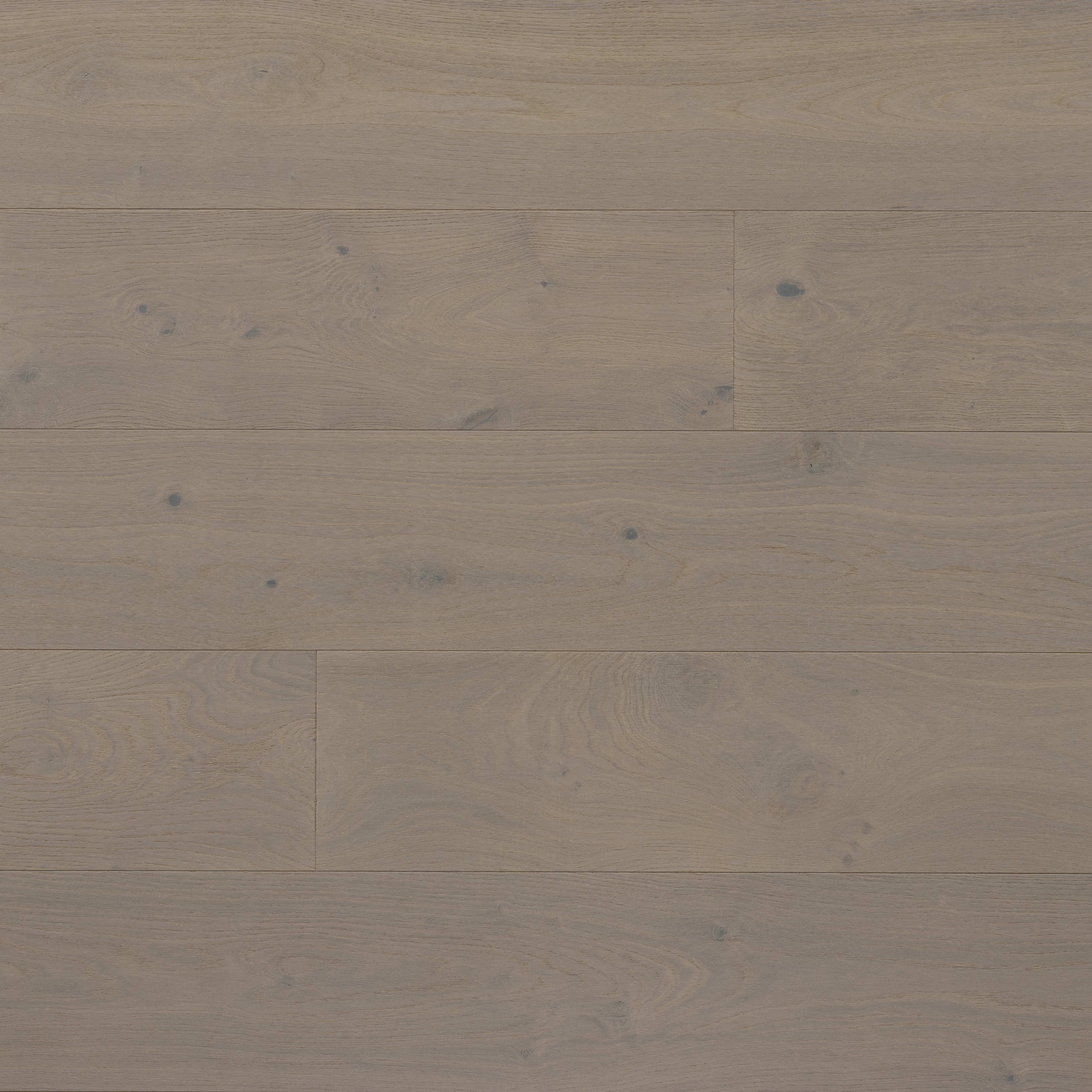 Kentwood Collection: Landmark South in Eagle Plume Hardwood
