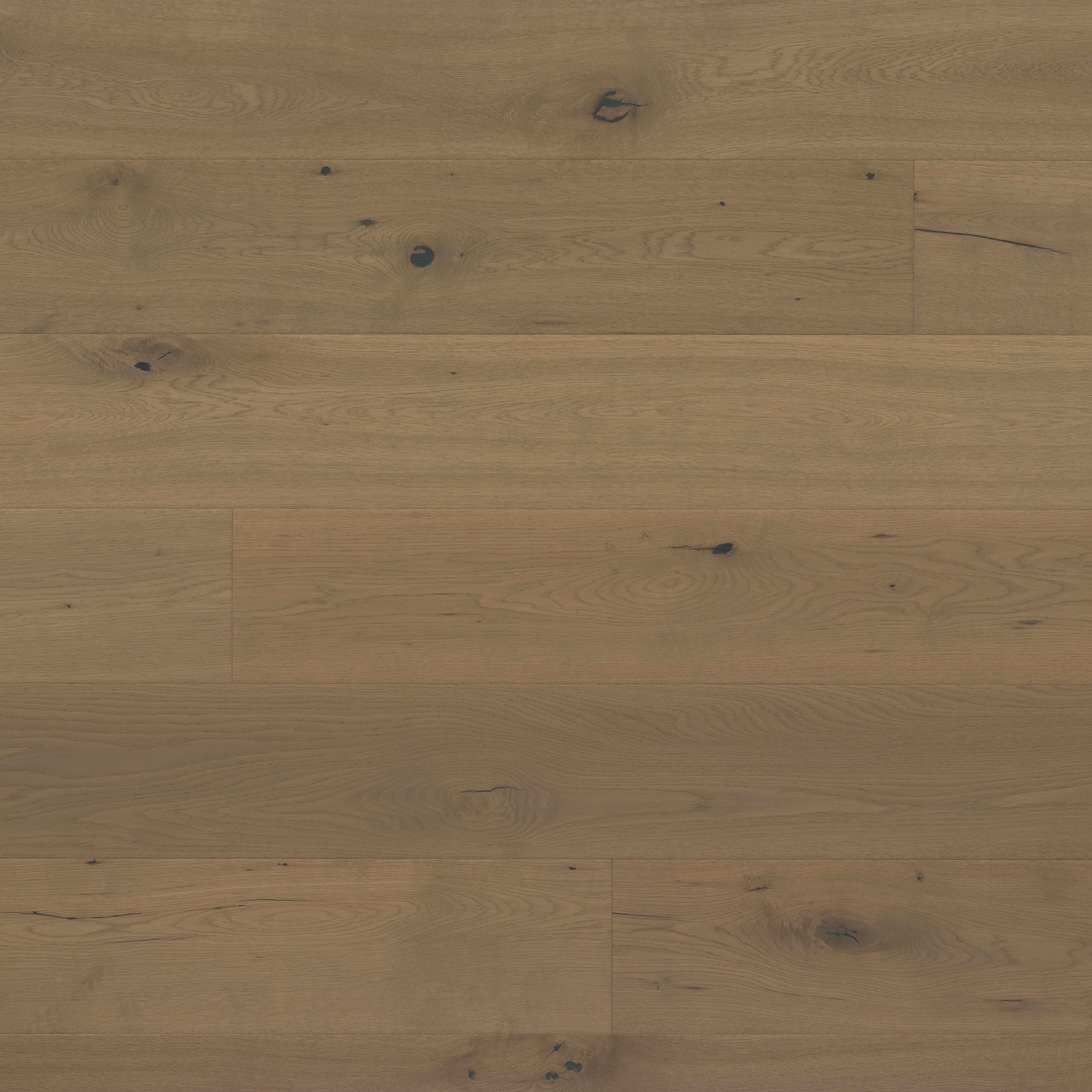 Kentwood Collection: Muse in Motif Hardwood