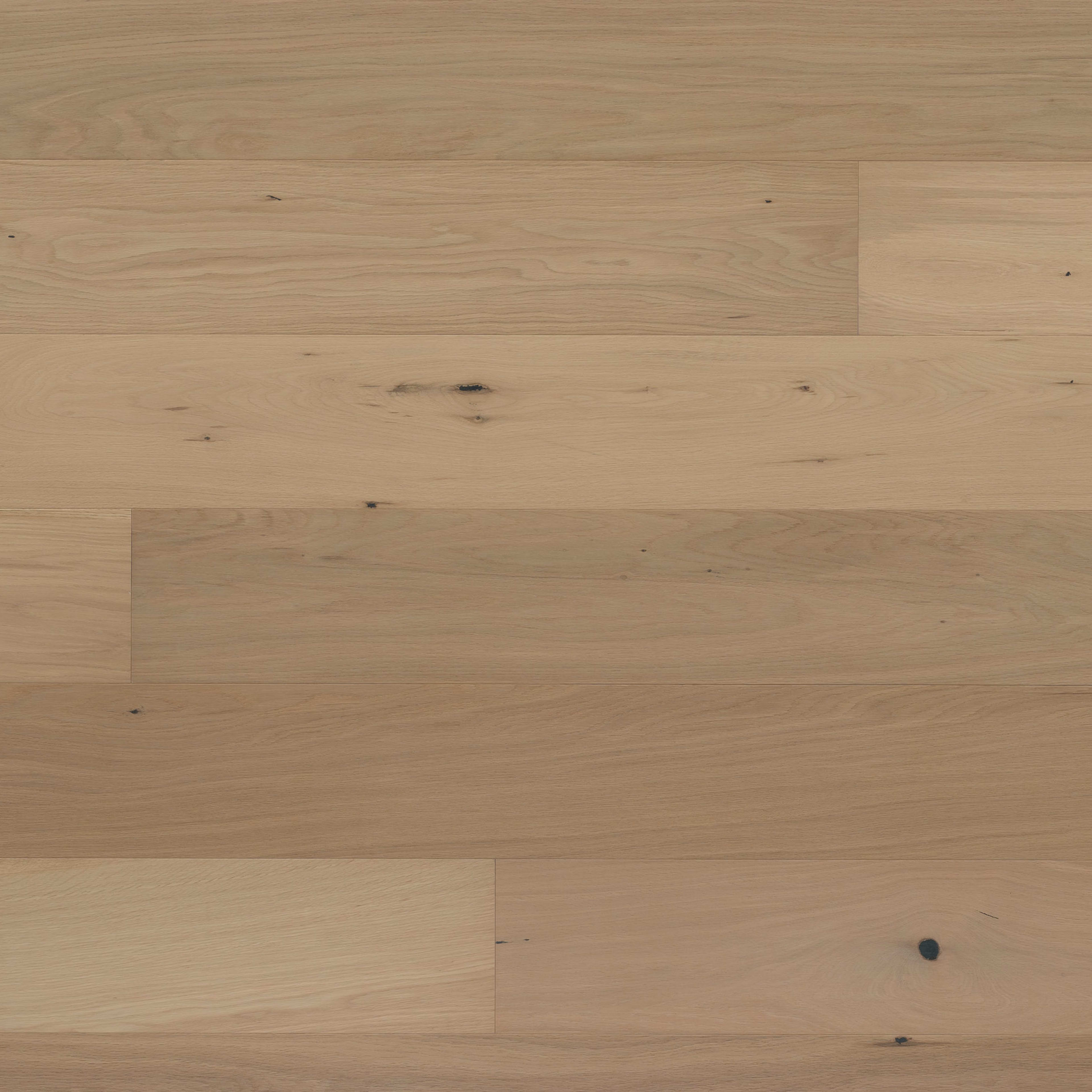 Abode by Kentwood: Tempo in Anise Hardwood