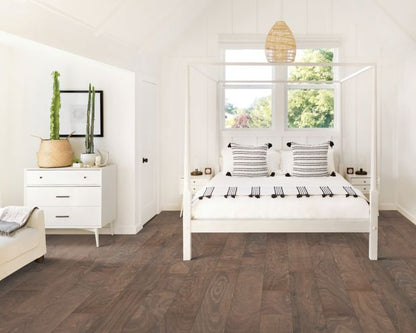 Carillion Birch in Gunpowder Birch