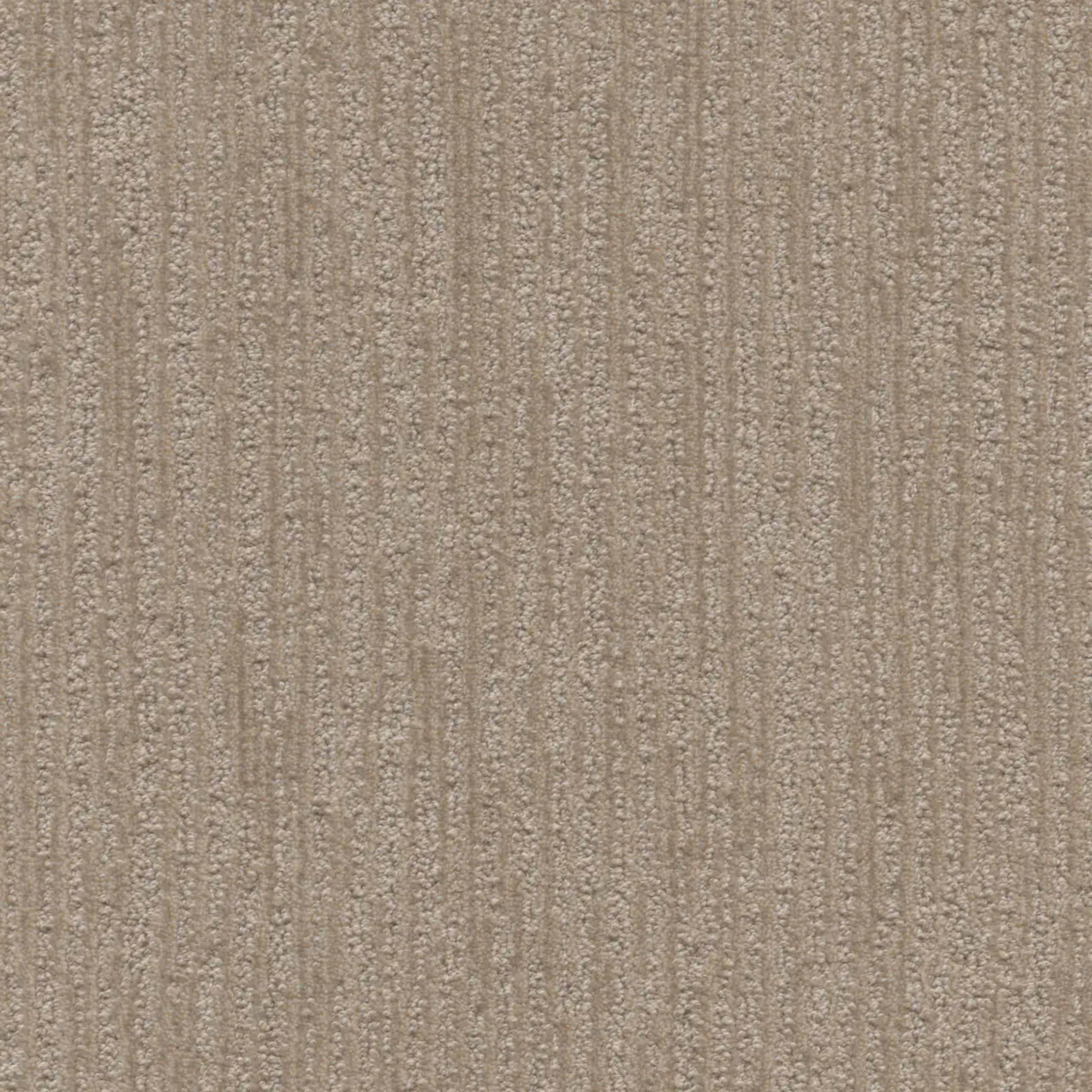 Venetian in Milk & Honey Carpet