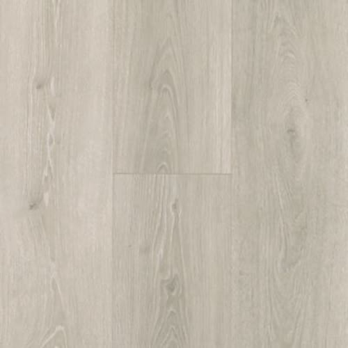 Beachside Collective in Silver Shadow