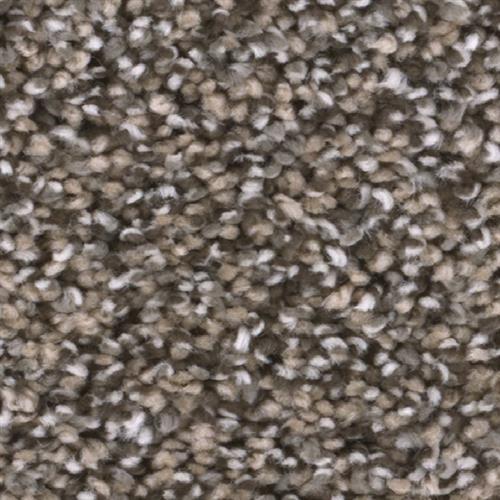 TRENDSETTER II in Smokey Taupe Carpet
