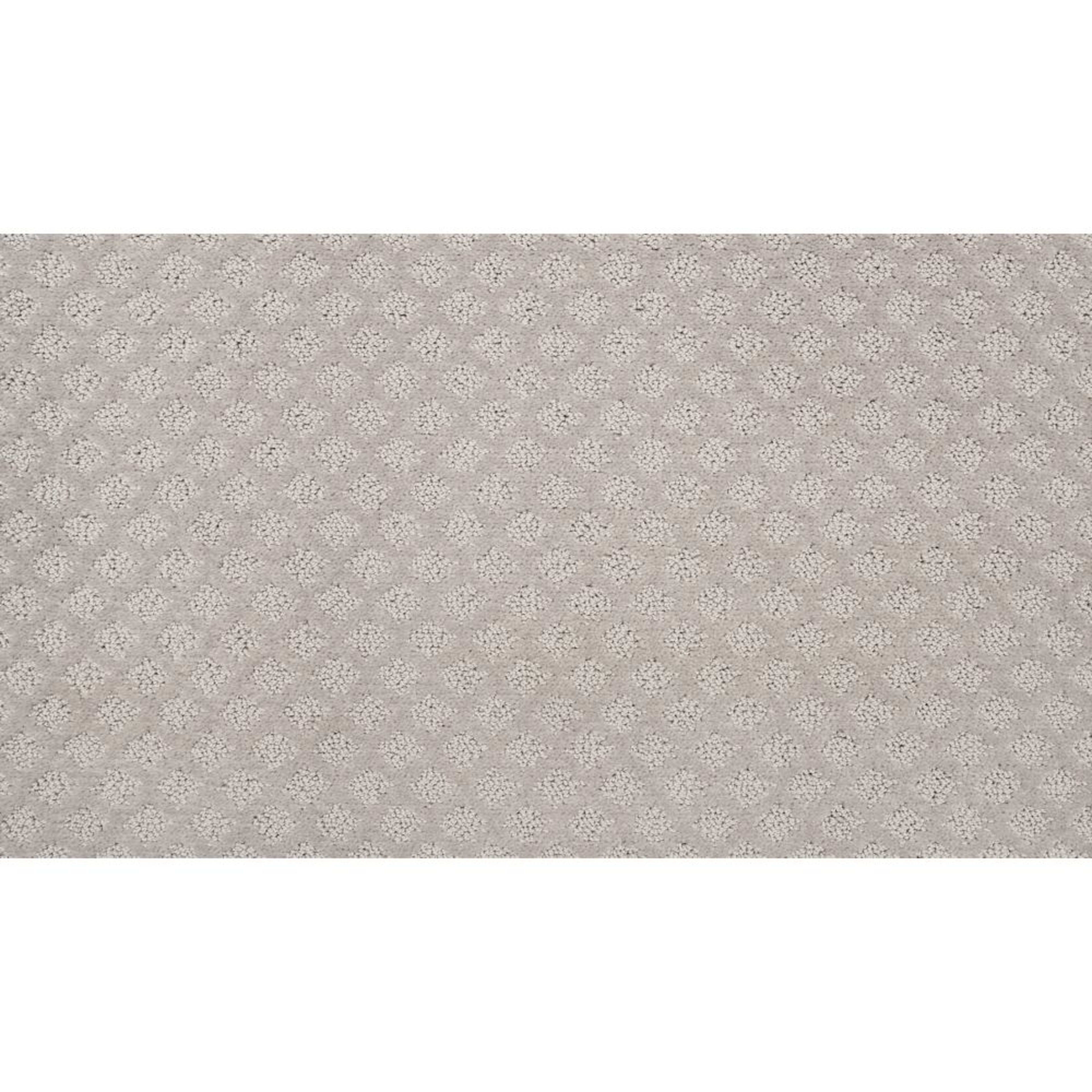 True Match Ii in Stardust Carpet