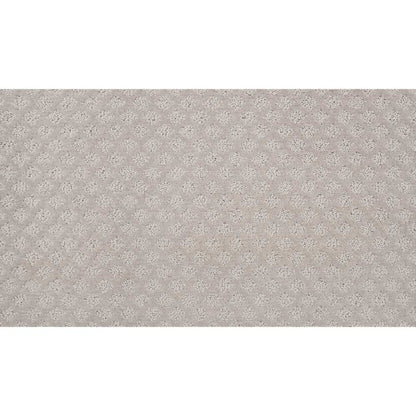 True Match Ii in Stardust Carpet