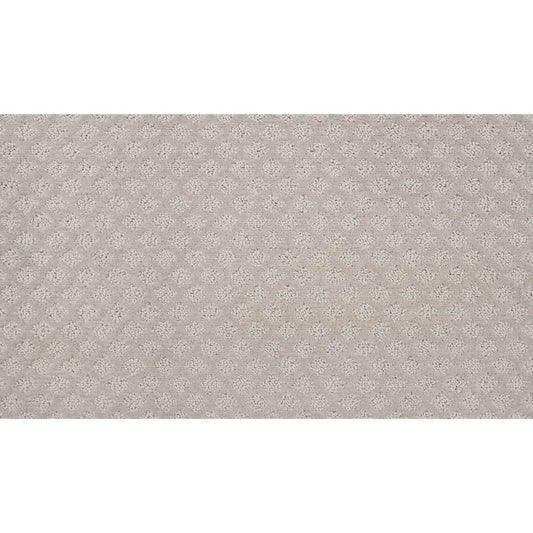 True Match Ii in Stardust Carpet