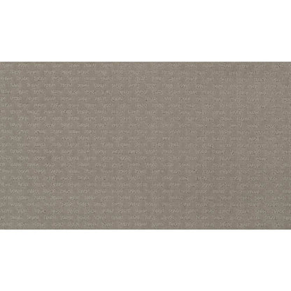 Well Rounded Ii in Reflections Carpet