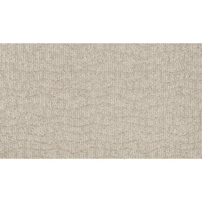 Inspiring Narrative in Wilmington Tan Carpet