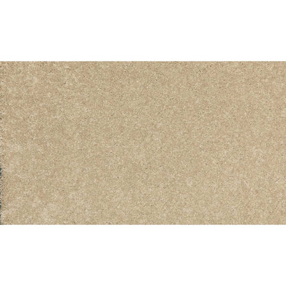 New Statement I in Sedona Carpet