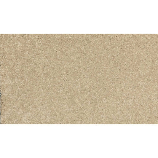 New Statement I in Sedona Carpet