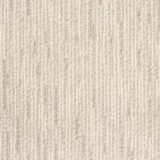 City Hues in Aspen          Carpet