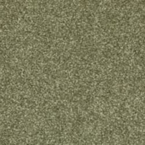 Radiant Tone in Sage