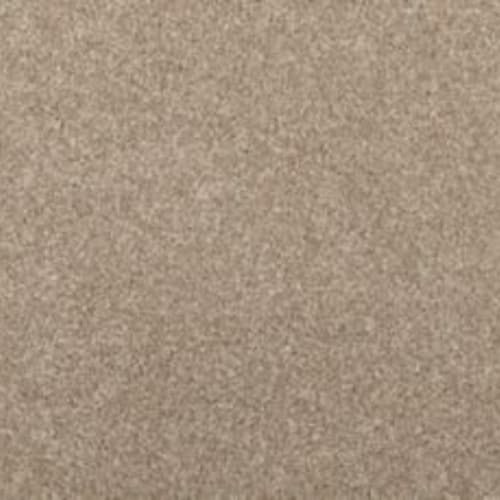 Radiant Tone in Chalet