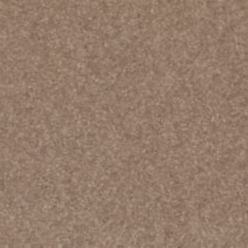 Radiant Tone in Timeless
