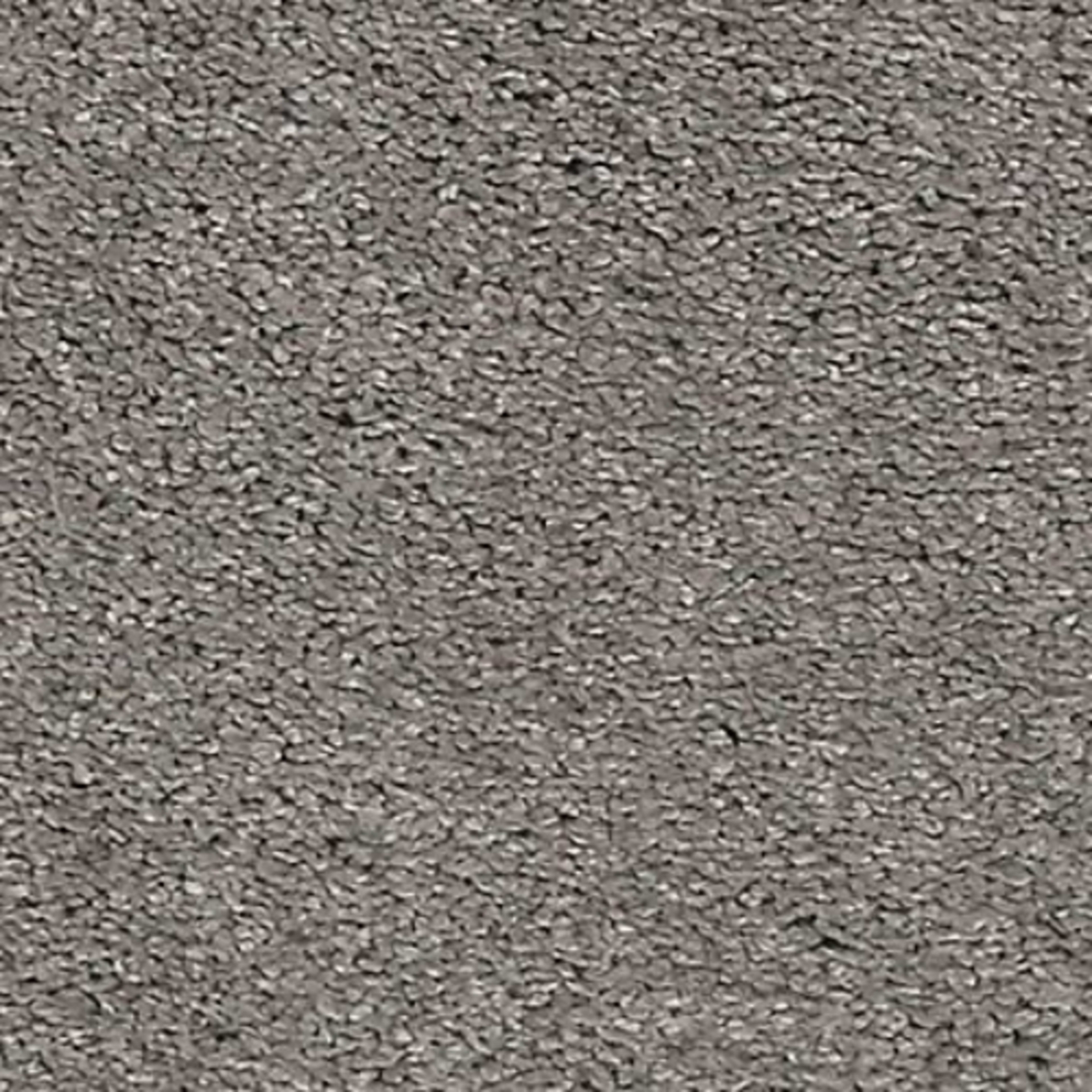 Noble Tone in Morning Dew Carpet