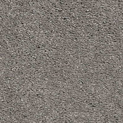 Noble Tone in Morning Dew Carpet
