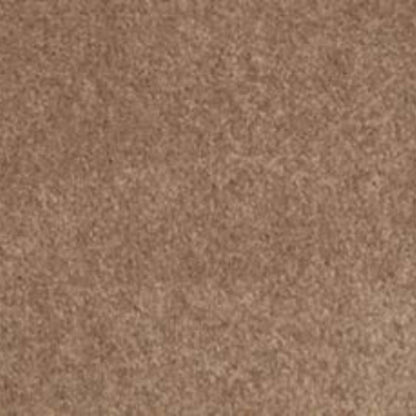 Lifetime Achiever II in Wheat Carpet