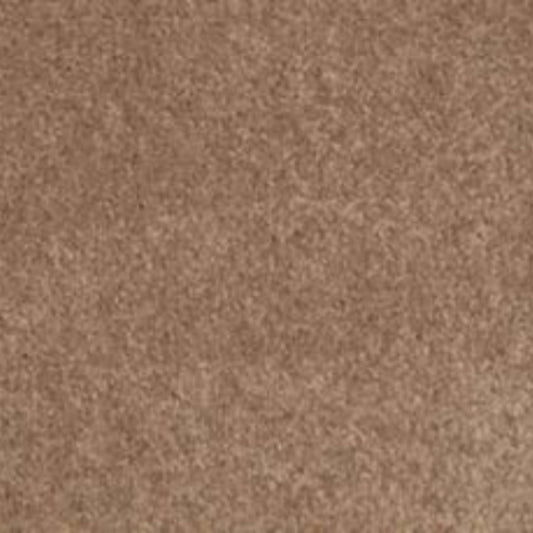 Lifetime Achiever II in Wheat Carpet