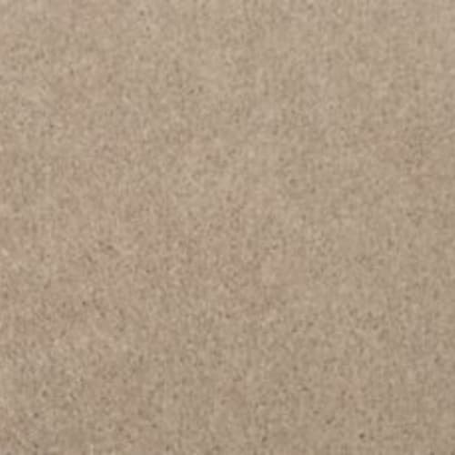 Lifetime Achiever II in Bleached Almond