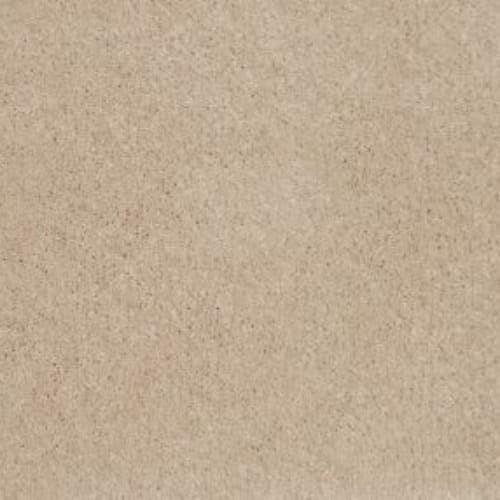 Height of Style II in Champagne Beige