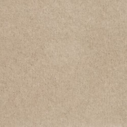 Height of Style II in Champagne Beige