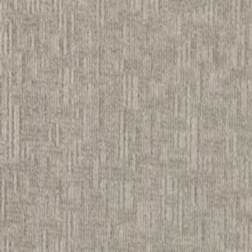 Antique Comfort II in Coin