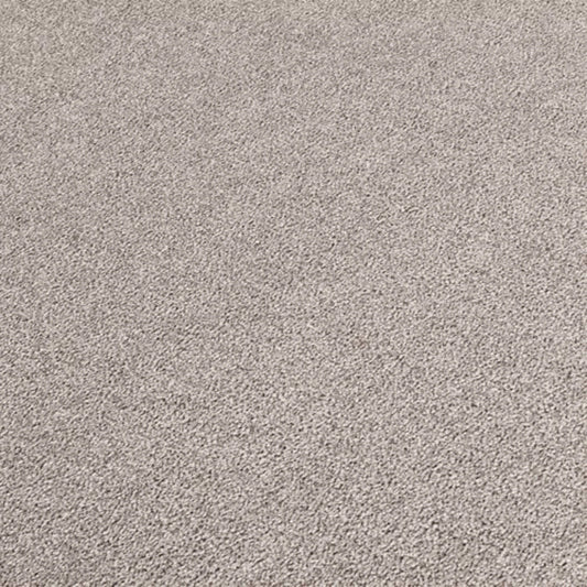 Creative Outlet I in Polished Nickel Carpet
