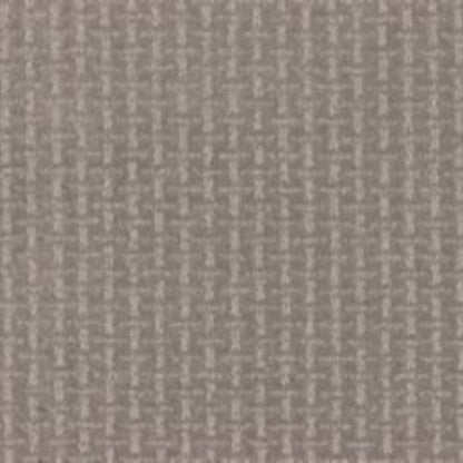 Radiant View in Rough Stone Carpet