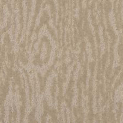 Timber View in Granite Carpet