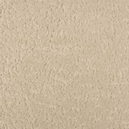 Mineral Earth in Aspen          Carpet