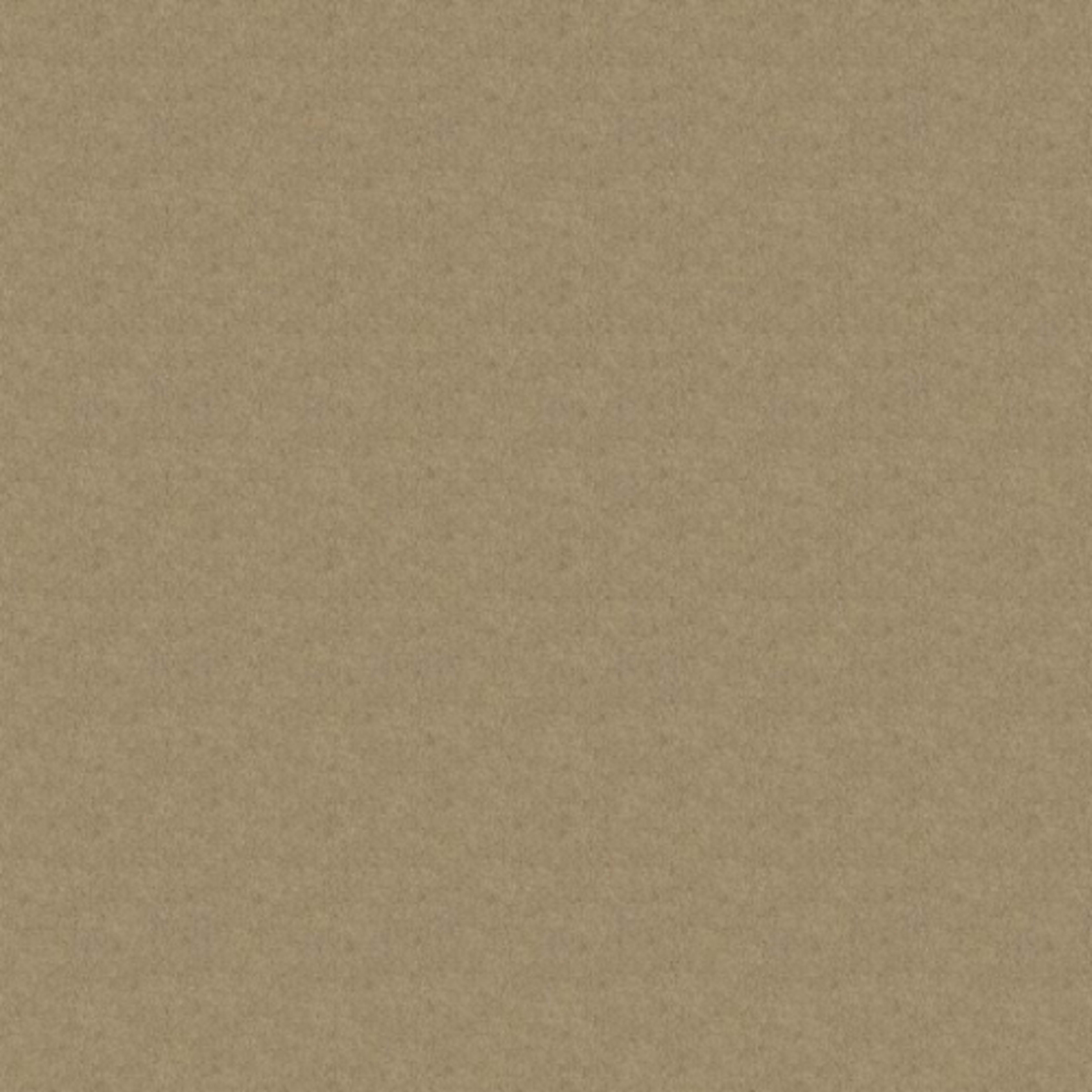 Iconic Look II in Flax Seed Carpet