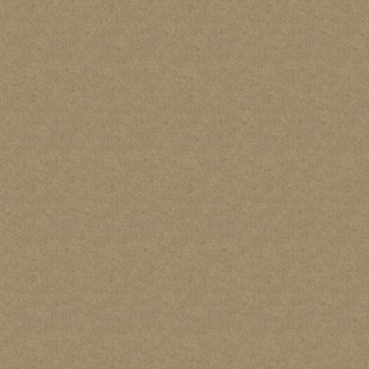 Iconic Look II in Flax Seed Carpet
