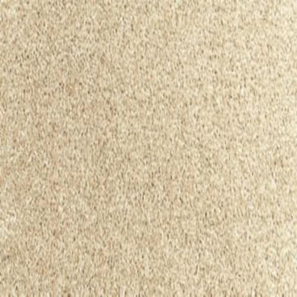 Essential Factors I in Coastal Sands