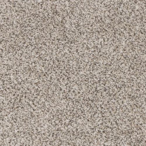Furtastic in Frosty Spice