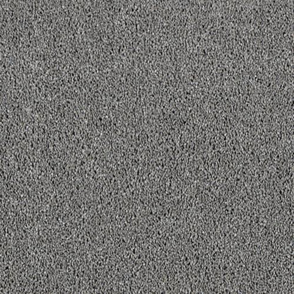 Star Struck in Chrome Carpet