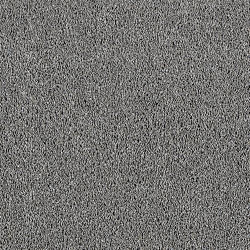 Star Struck in Chrome Carpet