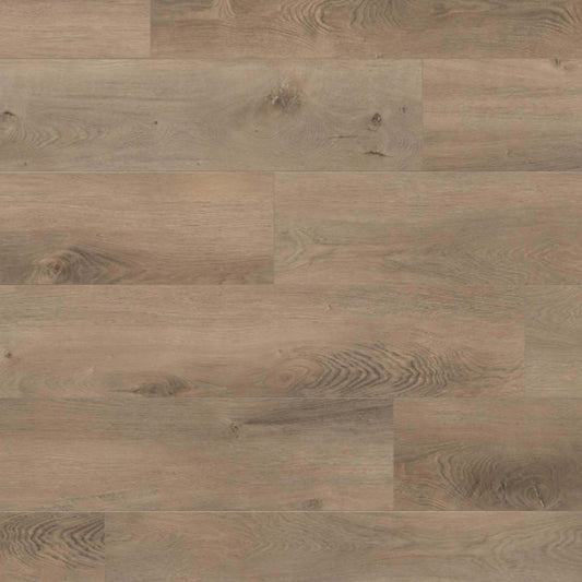 Montane Trail in Joey P Laminate
