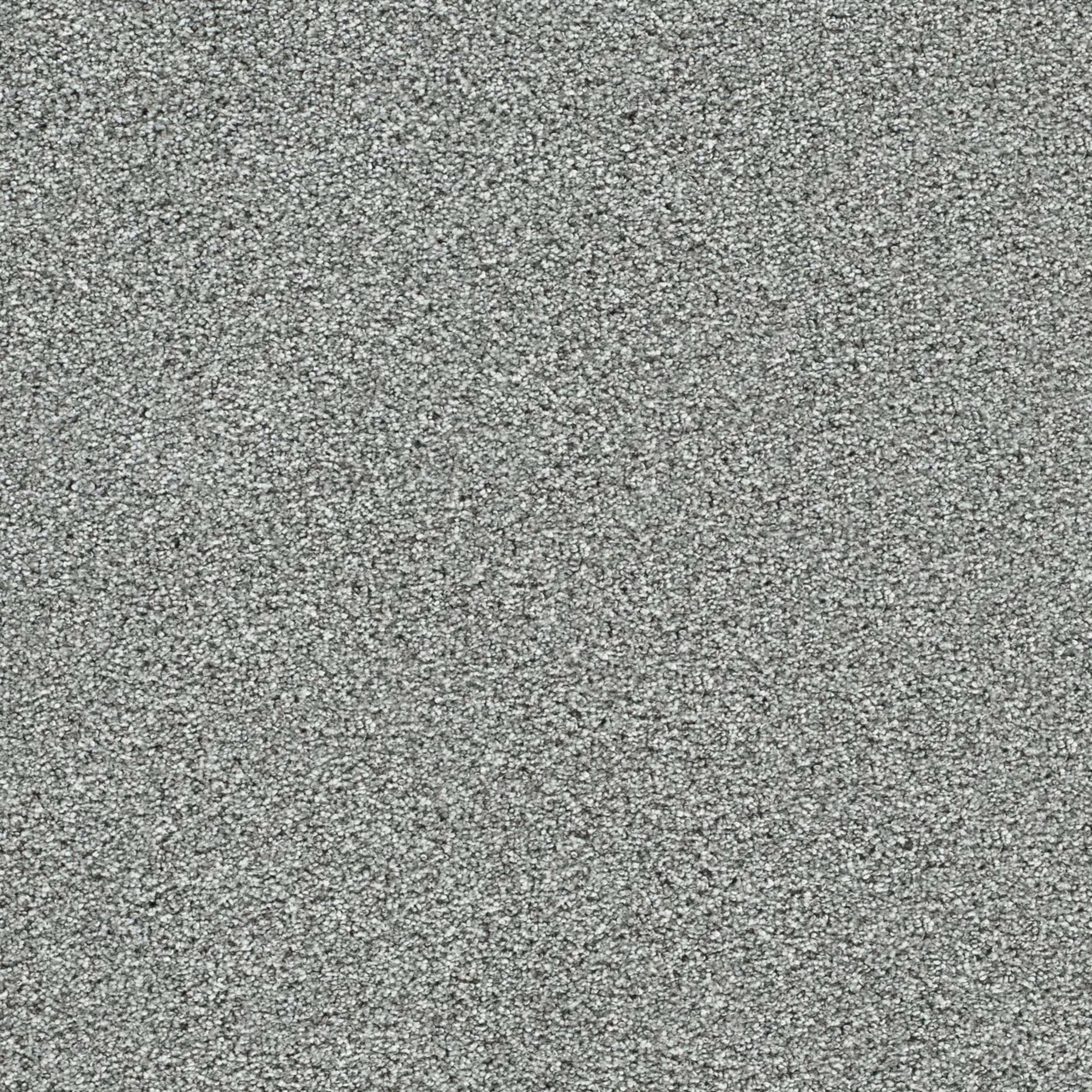 Lucky Penny I in Sky Ridge Carpet